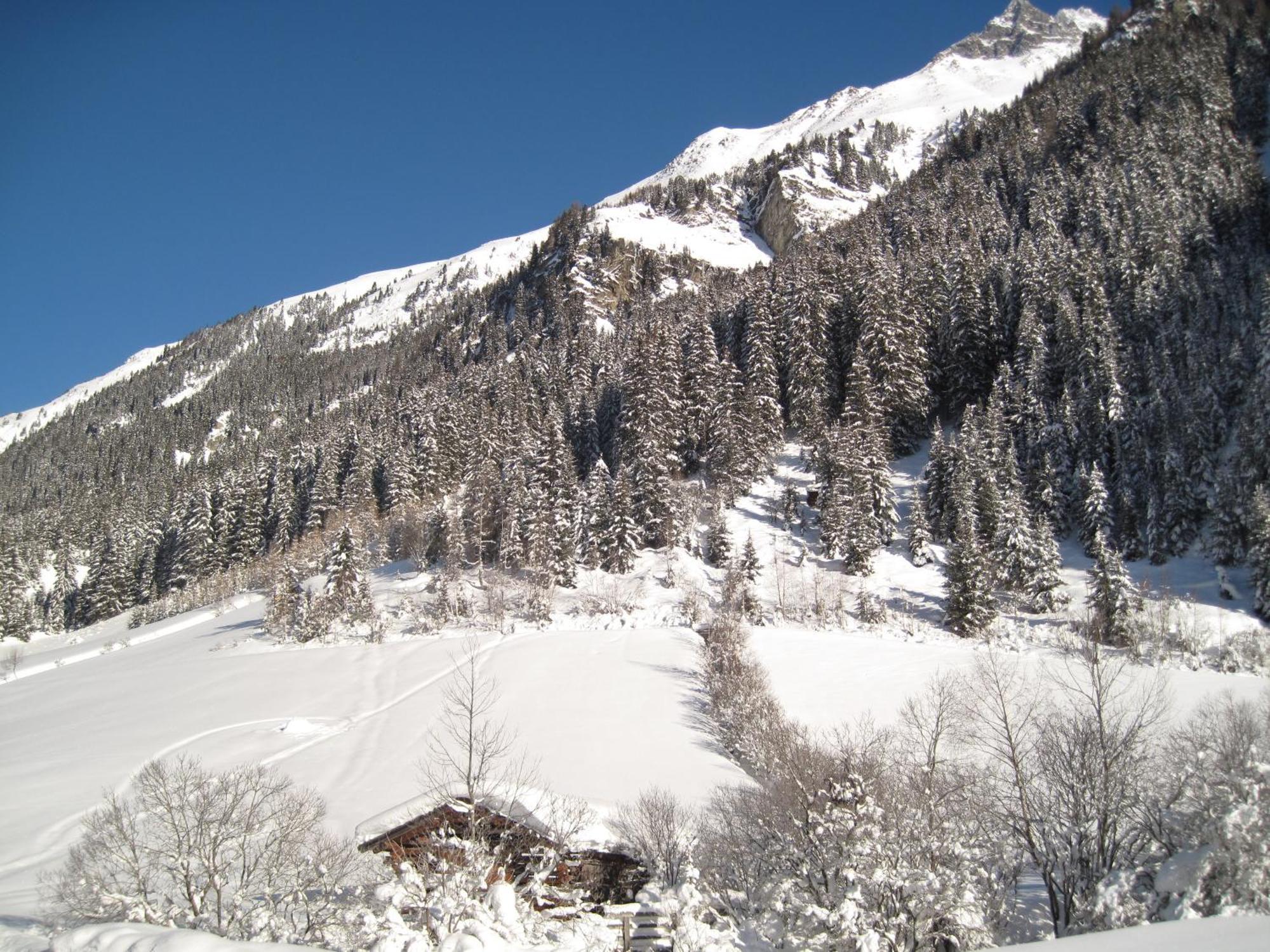 Alpina Appartement Sankt Leonhard im Pitztal Kültér fotó